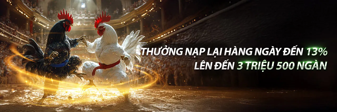 Hình ảnh chính các chương trình khuyến mãi betvnd8 code